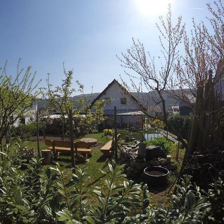 Moselie Ferienwohnung Kinheim Mosel Exterior foto