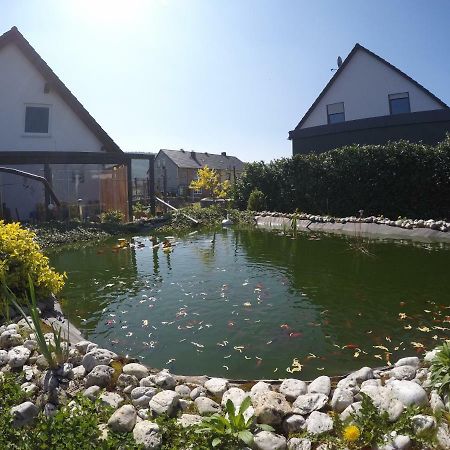 Moselie Ferienwohnung Kinheim Mosel Exterior foto