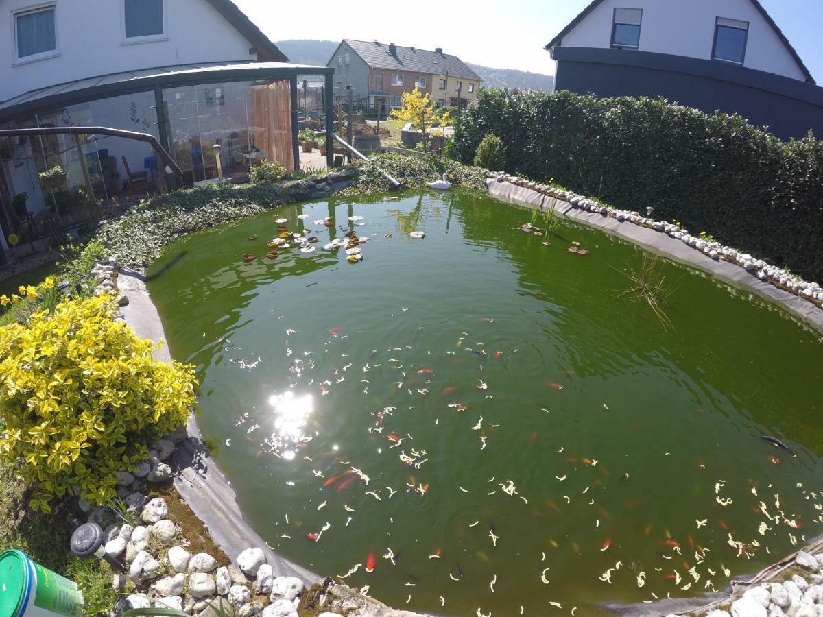 Moselie Ferienwohnung Kinheim Mosel Exterior foto