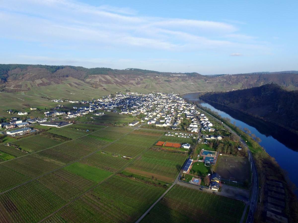 Moselie Ferienwohnung Kinheim Mosel Exterior foto